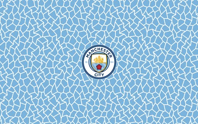 爱游戏动态-于帕梅卡诺成后防毒瘤